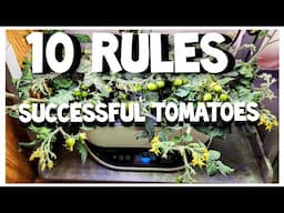 10 RULES HYDROPONIC TOMATOES