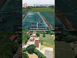 Đồng Tháp, Lâm Đồng là “hàng xóm” mới của TPHCM sau sáp nhập| THƯ VIỆN PHÁP LUẬT