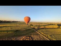 Gliding Over Sugar Cane Fields in Luxor Egypt