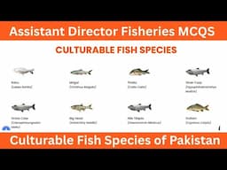 Assistant Director Fisheries MCQS|| Culturable fish Species of Pakistan ||PPSC AD Past Papers