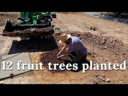 We have an Orchard! : Food Forest Part 3