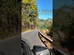 Road to Hana is such a unique experience for each person, here is what made our drive so spectacular