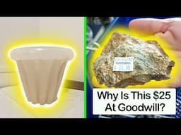 Times Goodwill Surprised People With Their Hidden Gems Or Bizarre Items