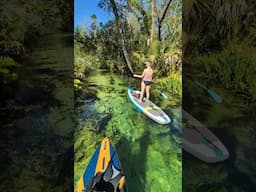The Emerald Cut - Relax For A Minute - Paddle Board Rock Springs Florida