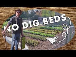 Making No Dig Beds and Planting Out Seedlings