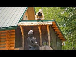 Building a Cedar Shake Roof Extension & a Heavy Door for our Toolshed | Snakes and Gardening