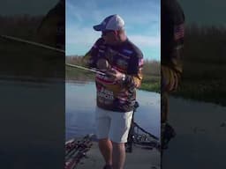 Swimjig Bass Fishing Tips - Bobby Lane