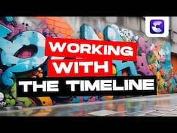 Working With The TIMELINE