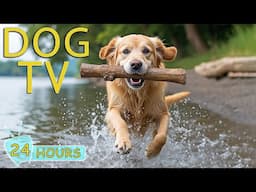 DOG TV: Video Entertain to Keep Your Dog Calm & Happy All-Day When Home Alone - Best Music for Dogs