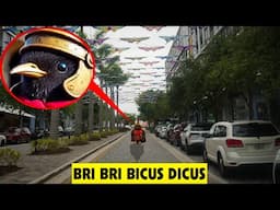 IF YOU SEE BRI BRI BICUS DICUS IN REAL LIFE RUN! | ITALIAN BRAIN ROT