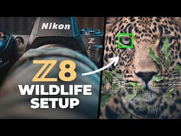 My Nikon Z8 Setup for Better Wildlife Photos | Wildlife Photography