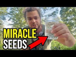 7 Reasons This TREE Can Fix Most of Your Problems