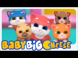 Tiga Anak Kucing Kecil Lagu Berhitung Dan Musik Prasekolah Lainnya