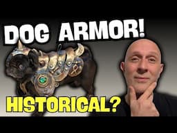 Did Medieval DOGS REALLY WEAR ARMOR?