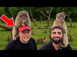 Jordan & Semih WERDEN von AFFEN ANGEGRIFFEN (Affen Park)