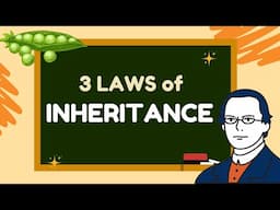 Laws of Inheritance by Gregor Mendel
