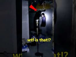 Something Is In This Room With Her…