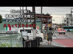 横断歩道に人がいたら車は止まるのか？実際に実験しました【社会実験】