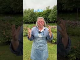 Live chat today 5pm uk time - link to join in the description - see you later! #cutflowerpatch