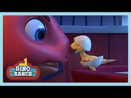 The Baby Dino | Dino Ranch | Wildbrain Little Jobs