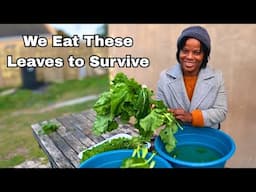 Cooking my country's most loved leafy vegetable: healthy and delicioius