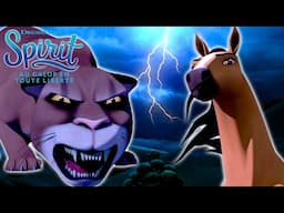 Lucky et le puma | SPIRIT AU GALOP EN TOUTE LIBERTÉ