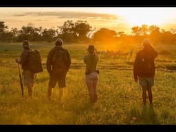 Okavango wandelsafari - Going Africa Safaris