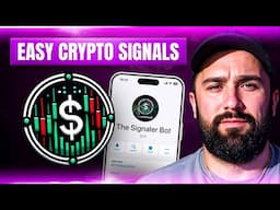 Indicator Trading : Boost Your Win Rate with TheSignaler!