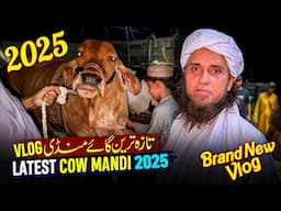 A Brand New Cow Mandi Vlog 2025 - Mufti Tariq Masood Vlog