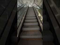 Riding the Escalator 6