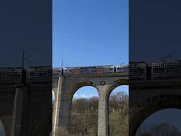 Crossing Europe’s Largest Viaduct 🇩🇪#deutschland