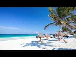 Paradise Found: Turquoise Ocean Water and Wild Beach & Seaside Bossa Nova