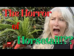 The Horror of Horsetail!??