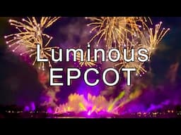 EPCOT Fireworks LUMINOUS The Symphony of Us