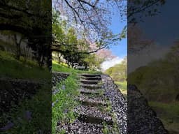 Last breath of spring