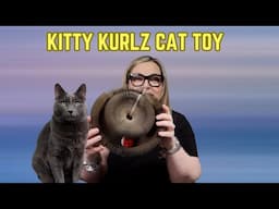 Baysea Kitty Kurlz Accordian Cat toy on Amazon