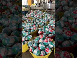 How This Machine Packs Fresh Coconuts to Perfection!