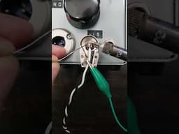 Speaker Cable for Princeton guitar amp #fender #guitarist