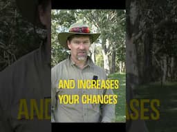 How to find your hunting boomerangs sweet spot! #boomerang