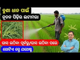 Weed control  ବୁଣା ଧାନ ପାଇଁ ନୂତନ ପିଢ଼ିର ଘାସମରା ଗୋଟିଏ ଘାସ ରହିବ ନାହିଁ