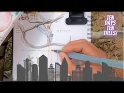 Nature Journaling in Urban Tree: Ten Days Ten Trees