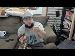 REPTILE QUESTIONS AND ANSWERS LIVE! 5/31 ! Lizards! Snakes !