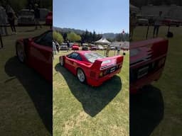Ferrari F40: Una obra de arte que puedes manejar.