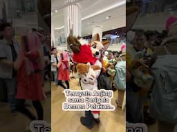 Nonton hewan2 bernyanyi 🎤🎶 #furry #furryfandom #furryfandomindonesia #furryfandom2025 #furryart