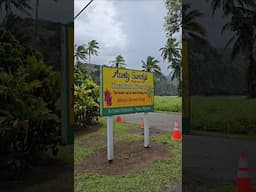 What's the deal with the Banana Bread?? Road to Hana roadside snacks!