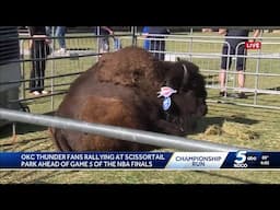 Clyde the Buffalo outside Paycom Center ahead of Game 5 of NBA Finals