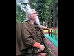 GUIDED MEDITATION by PHRA AJAHN YANTRA AMARO 1951-2025
