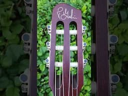 #TrailerTuesday of the Godin Multiac Nylon Encore Natural SG Guitar Review #shorts #shortvideo