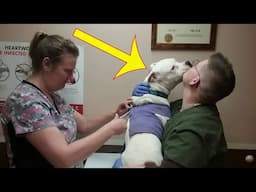 Woman Adopts A Dog In Need – His ‘Foul’ Odor Leads Her To Call The Cops