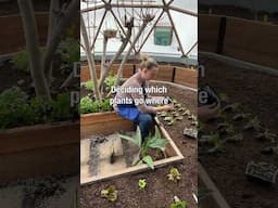 Spring Forward in a #growingdome #greenhouse 🌱🍅🥬